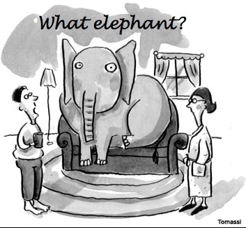 Elephant in the room